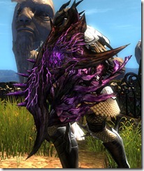 gw2-nightmare-shield-2 gw2-nightmare-shield-2