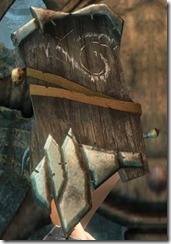 gw2-ogre-bulwark gw2-ogre-bulwark