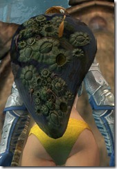 gw2-orrian-shield-2 gw2-orrian-shield-2