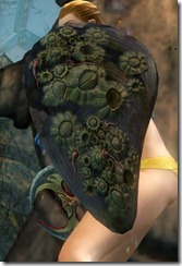 gw2-orrian-shield gw2-orrian-shield