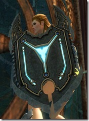 gw2-pact-shield gw2-pact-shield