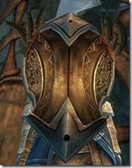 gw2-shiverpeak-shield-2 gw2-shiverpeak-shield-2