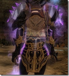 gw2-wall-of-the-mists-shield gw2-wall-of-the-mists-shield