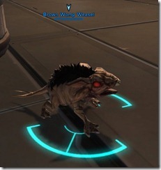 swtor-brown-womp-weasel