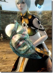 gw2-cooguloosh-focus gw2-cooguloosh-focus