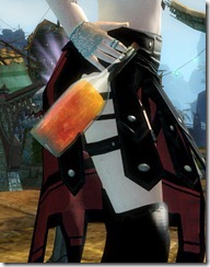 gw2-courage-focus-2 gw2-courage-focus-2