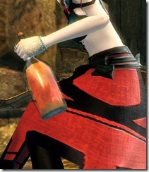 gw2-courage-focus gw2-courage-focus
