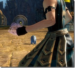 gw2-flux-matrix-focus gw2-flux-matrix-focus