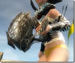 gw2-krytan-focus gw2-krytan-focus