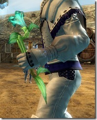 gw2-verdant-focus gw2-verdant-focus