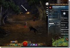 gw2-altar-brook-lair-guild-trek-2