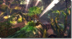 gw2-anya's-patch-guild-trek-2