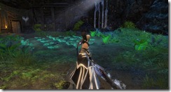 gw2-bandit's-cabbage-patch-guild-trek-2