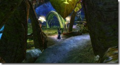 gw2-black-lion-root-cellar-guild-trek-4