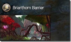 gw2-briarthorn-barrier-guild-trek-2