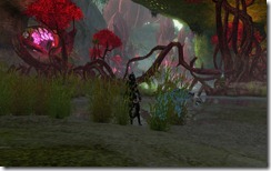 gw2-briarthorn-barrier-guild-trek-3