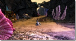 gw2-cache-of-the-pursued-guild-trek-4