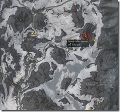 gw2-cave-spider-nidus-guild-trek-3