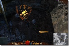 gw2-cave-spider-nidus-guild-trek-4