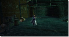 gw2-covington's-stowage-guild-trek-3