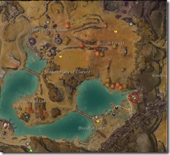 gw2-dirtclaw-cleft-guild-trek-4