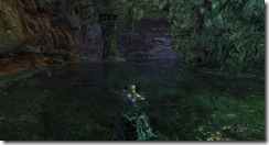 gw2-drakehatch-shore-guild-trek-2