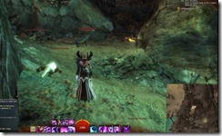 gw2-drakehatch-shore-guild-trek-4