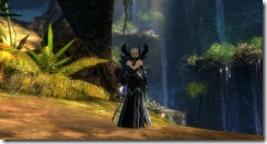 gw2-east-end-falls-guild-trek-3