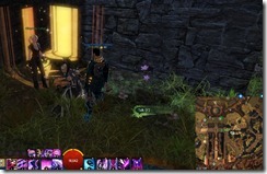 gw2-east-lurk-alley-guild-trek-2