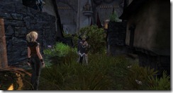 gw2-east-lurk-alley-guild-trek-3