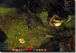 gw2-elise's-suprise-guild-trek-4