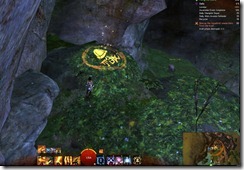 gw2-fisher's-crag-guild-trek-3
