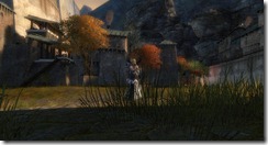 gw2-founder's-flagon-hearth-guild-trek-4