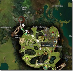 gw2-gardenroot-alcove-guild-trek-3