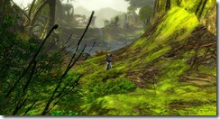 gw2-green-moa-paddock-guild-trek-4