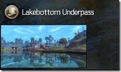 gw2-lakebottom-underpass-guild-trek