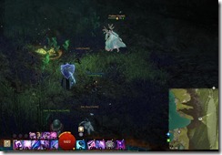 gw2-meltwater-cave-guild-trek-2