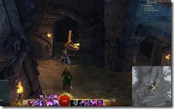 gw2-moleberia-prison-guild-trek-2