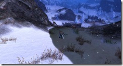 gw2-raptor's-perch-4