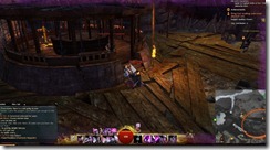 gw2-reverberant's-watch-guild-trek-4