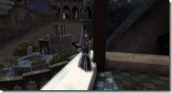 gw2-rurik's-view-guild-trek-2