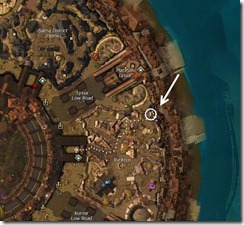 gw2-rurik's-view-guild-trek-4