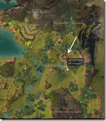 gw2-saltflood-altar-guild-trek-4