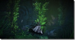 gw2-sentinel-sink-guild-trek-2