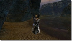 gw2-skalefound-cove-guild-trek-3