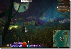 gw2-soggorsort-rotunda-guild-trek-4