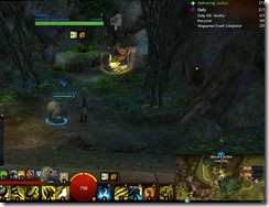 gw2-soren-draa--rest-shop-guild-trek-4