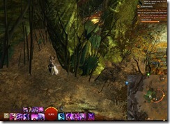 gw2-tarstar-copse-guild-trek-2