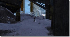 gw2-trader's-stash-guild-trek-3