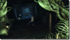 gw2-anthem's-hold-guild-trek-3